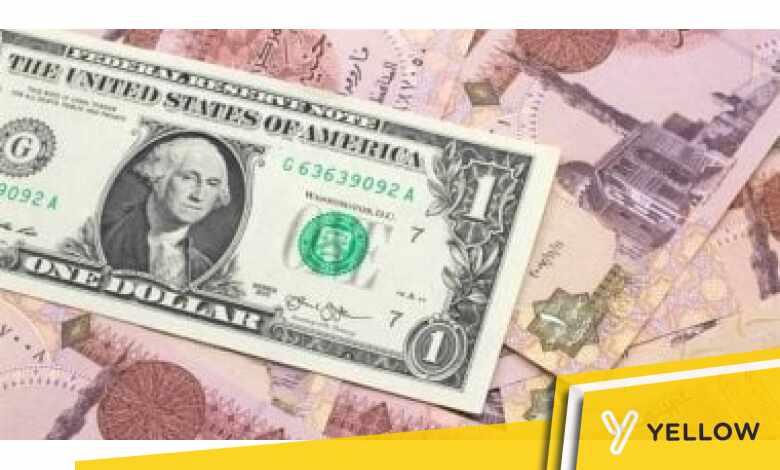 أسعار العملات اليوم الأربعاء 14-2-2024 أمام الجنيه المصرى - اليوم السابع
